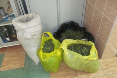 Марихуана Пресс-служба МВД по Бурятии