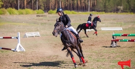 Турнир по конному спорту состоялся в Улан-Удэ в минувшие выходные Анна Огородник, UlanMedia