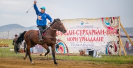Скакун борца Базара Базаргуруева стал абсолютным чемпионом &quotСурхарбана&quot в Бурятии Анна Огородник, UlanMedia