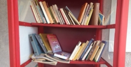 Bookcrossing набирает популярность среди любителей книжек в Улан-Удэ Александра Зармакова