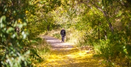 Золотая осень  Анна Огородник, UlanMedia