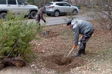 В 2026 году обновят зелёные зоны по программе &quotЗеленый город&quot мэрия Улан-Удэ