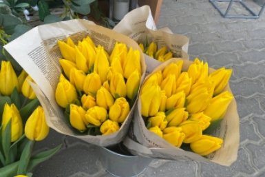 Ставрополь, природа, цветы, зелень, листва, трава, краски Артём Хорошилов  , ИА Stavropol.Media