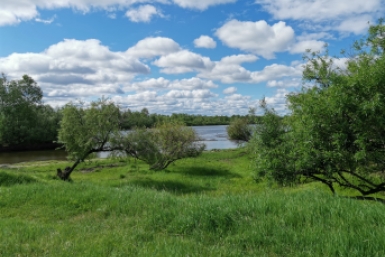 Природа Кирилл Роткин, ИА IrkutskMedia