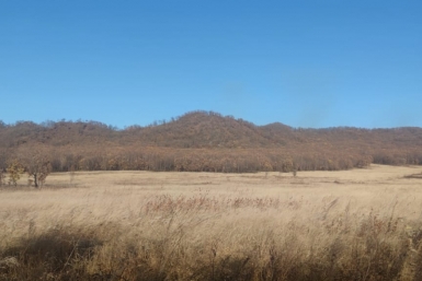 Тематическое фото Марина  Померанцева , ИА EAOMedia