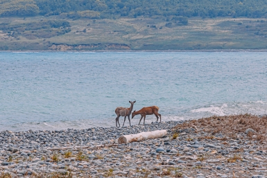 Тематическое фото Мария Смитюк, ИА PrimaMedia