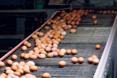 Тематическое фото Евгений Кулешов, ИА PrimaMedia