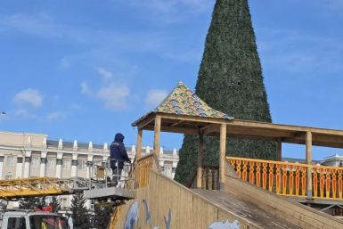 Главная зеленая красавица Улан-Удэ лишилась серёжек