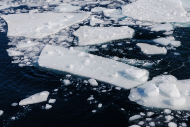 Тематическое фото Евгений Кулешов, ИА PrimaMedia