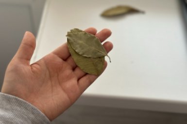 Поджигаю &quotлаврушку&quot в межсезонье в квартире: воздух приятный, расслабляюсь после работы. Вирусы махом испаряются ИА KrasnodarMedia