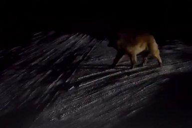 В Бурятии жители ДНТ просят вернуть освещение на дорогах ОНФ Бурятии