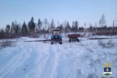 В Бурятии поймали "чёрного лесоруба" с лиственницей на 640 тыс. рублей