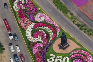Более 10 сортов петунии зацветут в Улан-Удэ к юбилею города администрация г. Улан-Удэ