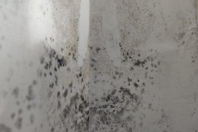 Тематическое фото Предоставлено собственниками квартир