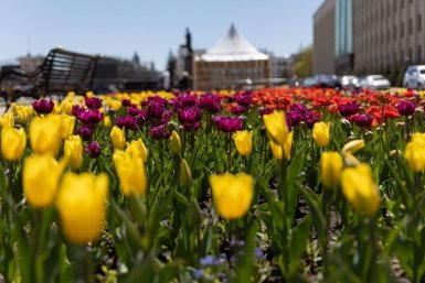 После холодного марта нас ждут долгожданные +14°C - свежий прогноз на апрель ИА Stavropol.Media