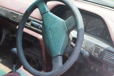 Тематическое фото Анна Маринец, ИА UssurMedia.ru