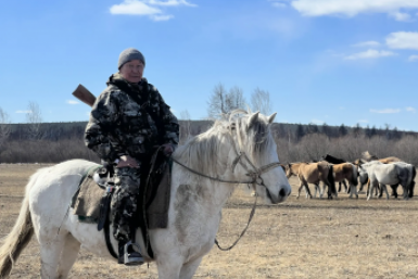 Фермер спас табун лошадей от стаи волков в Бурятии Минсельхоз Бурятии