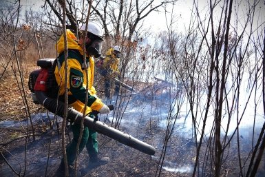 Более 6 тысяч га охватил огонь в Приморье за сутки пресс-служба Министерства лесного хозяйства, охраны окружающей среды, животного мира и природных ресурсов Приморья