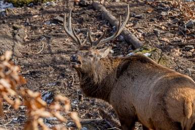 В Бурятии закрыли нацпарк из-за особого режима 