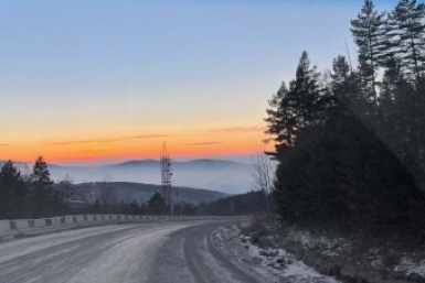 Тематическая иллюстрация Анастасия Петручишина