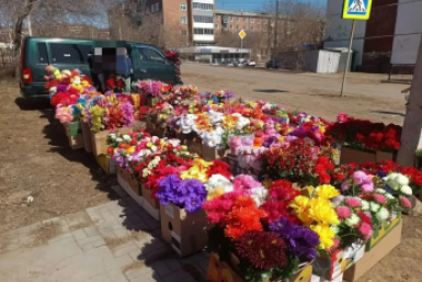 Улан-Удэ усилил контроль за незаконной продажей цветов перед Родительским днём администрация г. Улан-Удэ