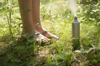 Клещи убегают как спринтеры: 4 пшика на обувь - смело гуляем в босоножках