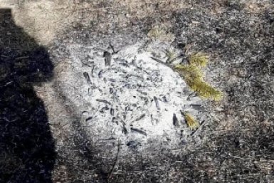 В Бурятии потушили лесной пожар из-за непотушенного костра пастухов