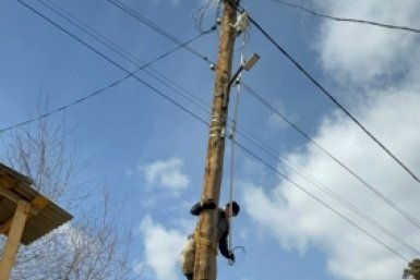 Кошку в Улан-Удэ спасли со столба через пять дней