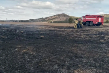 Новость дня