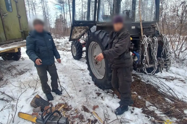 В Бурятии с поличным поймали "чёрных лесорубов" на ущербе в 1 млн рублей