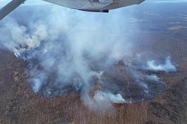 Лётчики-наблюдатели обнаружили пожары в 10 районах Приморья за сутки КГБУ &quotПриморская авиабаза&quot