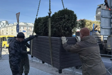 Улан-Удэ озеленяют кадками с растениями