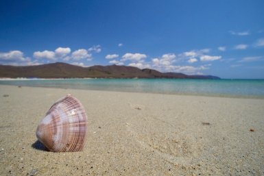 Из 5 курортов, где я был, на этом самая чистая вода - бриллиант Черного моря Дмитрий Осипчук, ИА PrimaMedia.ru