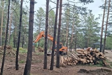 Общественники требуют остановить рубки и проверить законность продажи земель у музея страница Т. Думновой