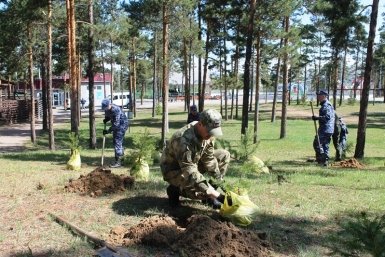 Они заложили Аллею к 10-летию Росгвардии и 215-летию войск правопорядка Росгвардия Улан-Удэ