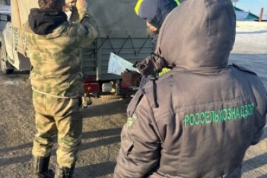 С начала года выявлено 119 случаев перемещения животных и грузов без ветдокументов Управление Россельхознадзора по РБ и Иркутской области