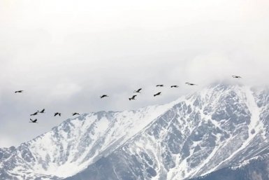 Тункинский нацпарк в Бурятии отмечает 35-летие ПроЗаповедник