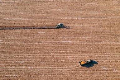 Тематическое фото Мария Смитюк, ИА PrimaMedia.ru
