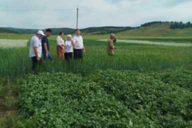 Агропромышленная выставка покажет 65 культур, технику и научные разработки минсельхозпрод Бурятии
