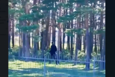 Медведи в Бурятии всё чаще выходят к людям