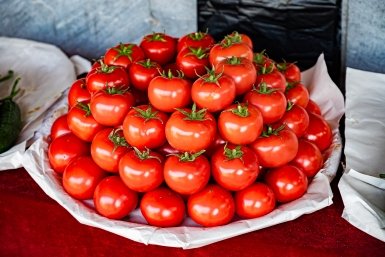 Тематическое фото Илья Табаченко, ИА PrimaMedia.ru