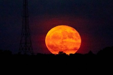 Полнолуние произойдёт в Рыбах Дмитрий Осипчук, ИА PrimaMedia.ru