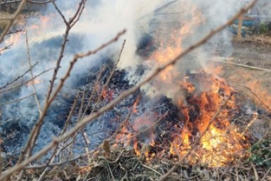 На Ставрополье с 1 октября отменён особый противопожарный режим ИА Stavropol.Media