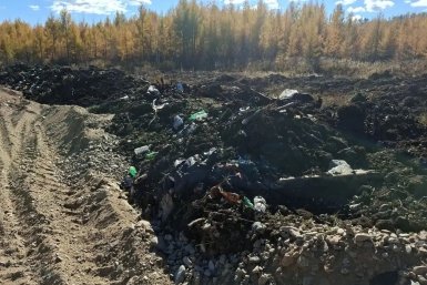 Золотодобытчиков заподозрили в загрязнении реки в Могочинском округе Миприроды Забайкалья