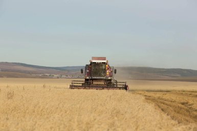 Уборочная кампания в Бурятии: зерно, картофель и овощи под уборкой