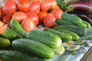 Более 8 тонн мяса и овощей продали на ярмарке в Чите ИА ЕАОMedia
