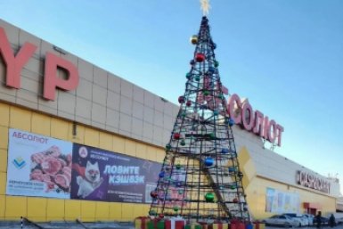Жители Улан-Удэ призвали не портить Новый год ёлками в октябре
