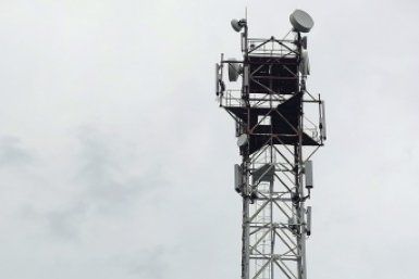 МТС включила LTE в Белоозерске, селе где наблюдают за краснокнижными птицами МТС