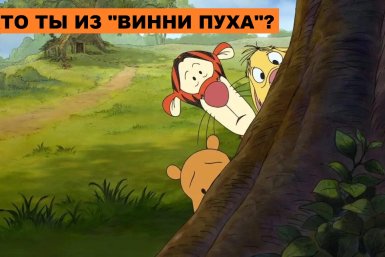 Осенний тест: узнайте, кто вы из "Винни Пуха"