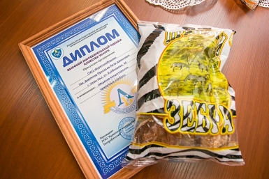 Сделано в Бурятии Анна Огородник, UlanMedia